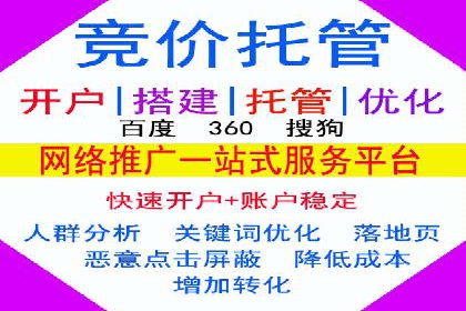 SEM代运营托管公司成功案例：提升转化率的关键策略